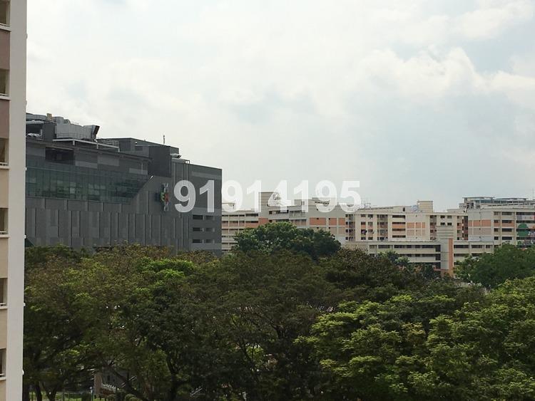 Blk 204 Serangoon Central (Serangoon), HDB 4 Rooms #157769382
